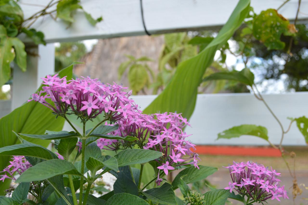 The Lahaina Beach House Hostel Bagian luar foto